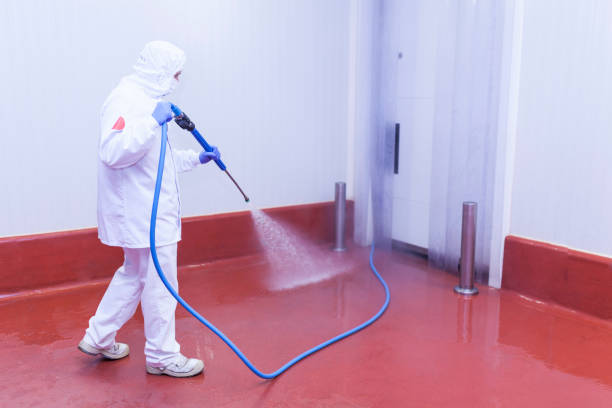 Best Roof Washing  in Brooktrails, CA